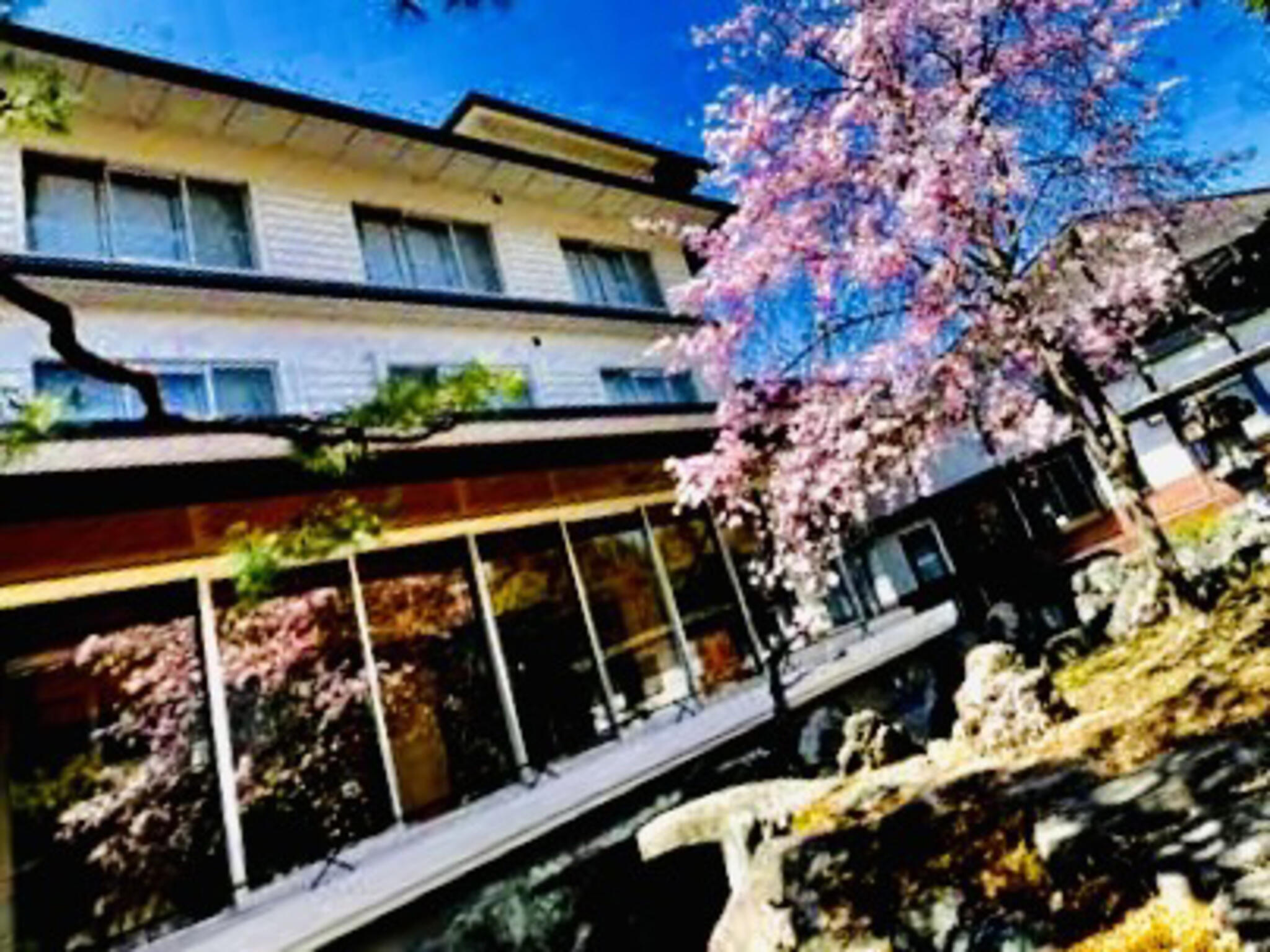 磯部温泉 ホテル 桜やの代表写真7