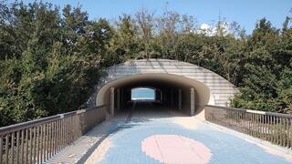 島根県立石見海浜公園 波子海水浴場のクチコミ写真1
