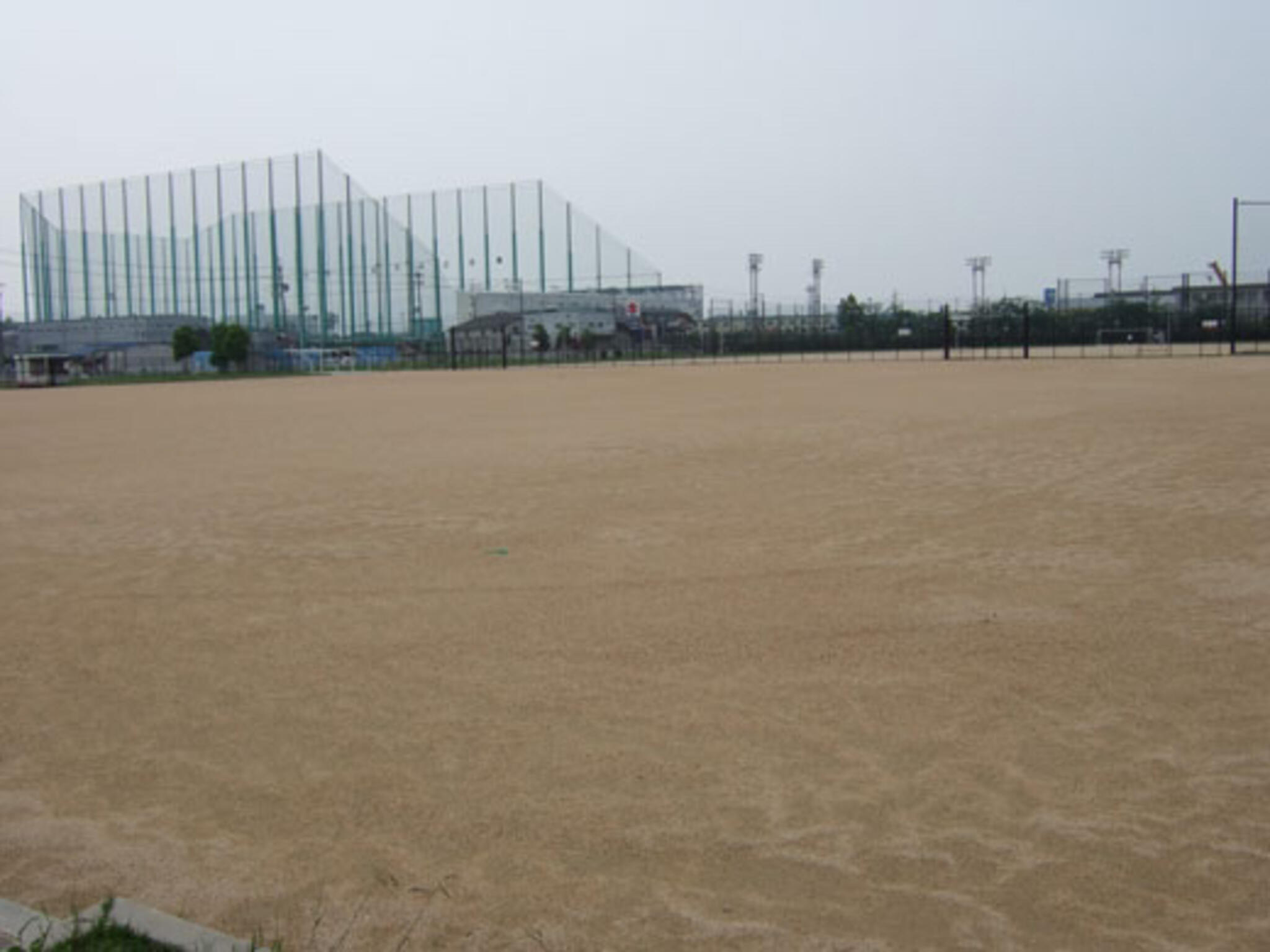 大泉緑地スポーツ広場の代表写真10