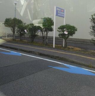 宮崎市立 総合体育館のクチコミ写真1