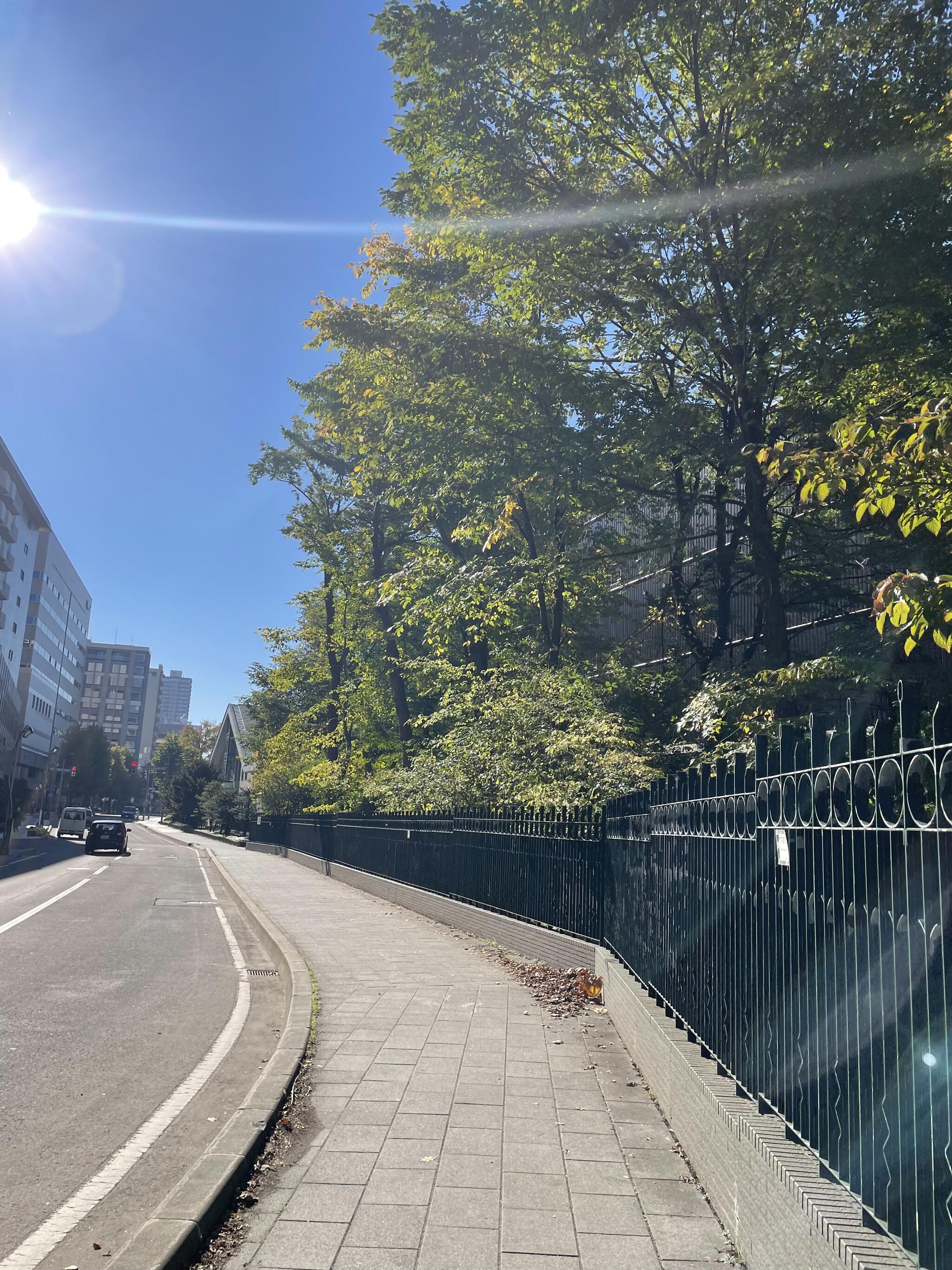 北海道大学植物園の代表写真10