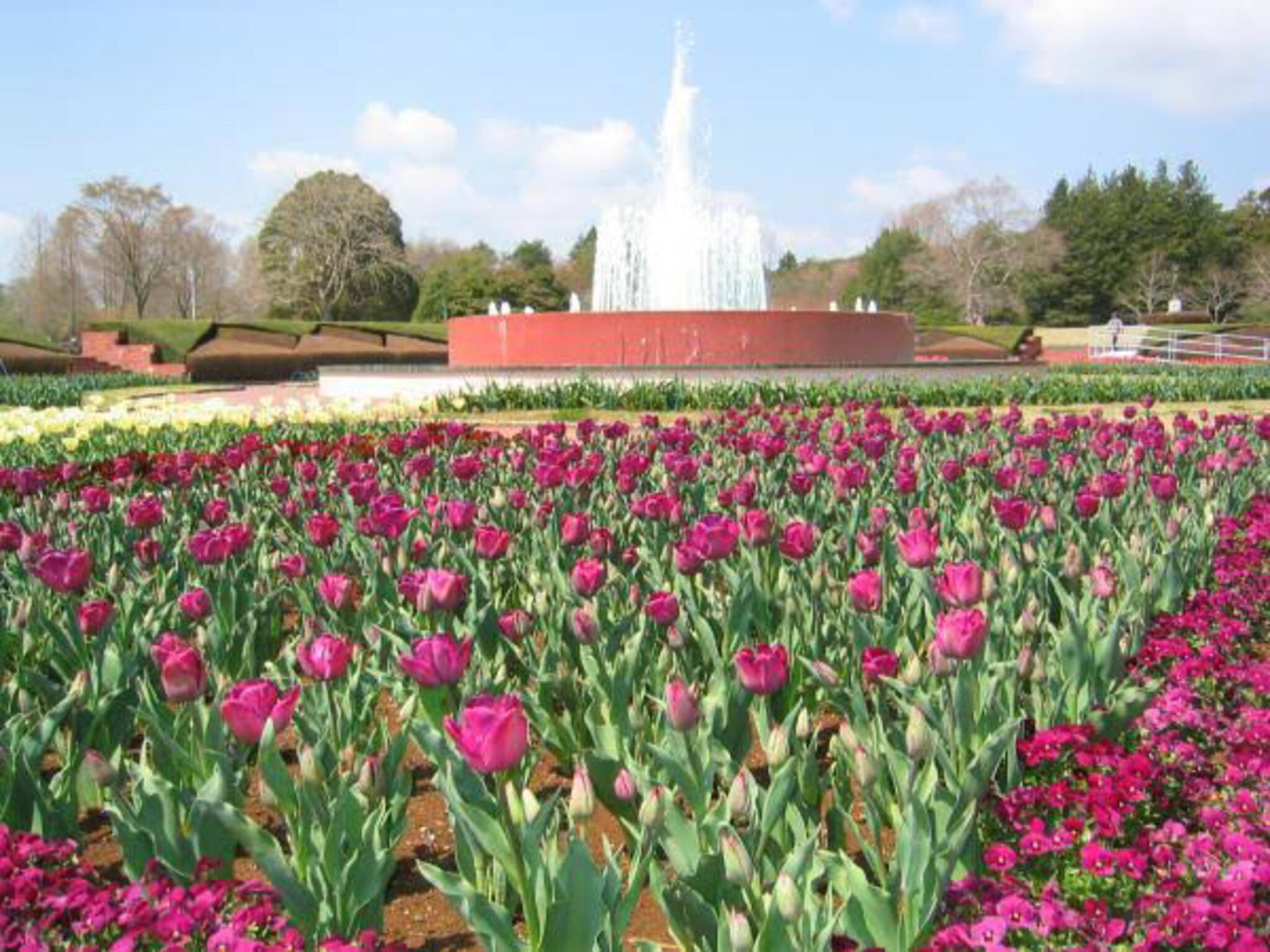 茨城県植物園の代表写真9