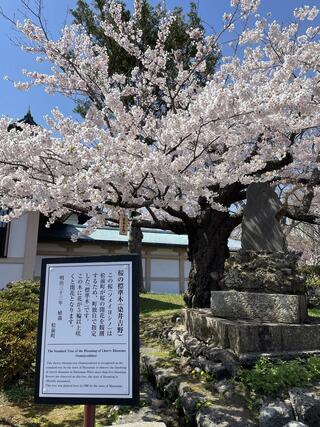 松前城資料館のクチコミ写真1