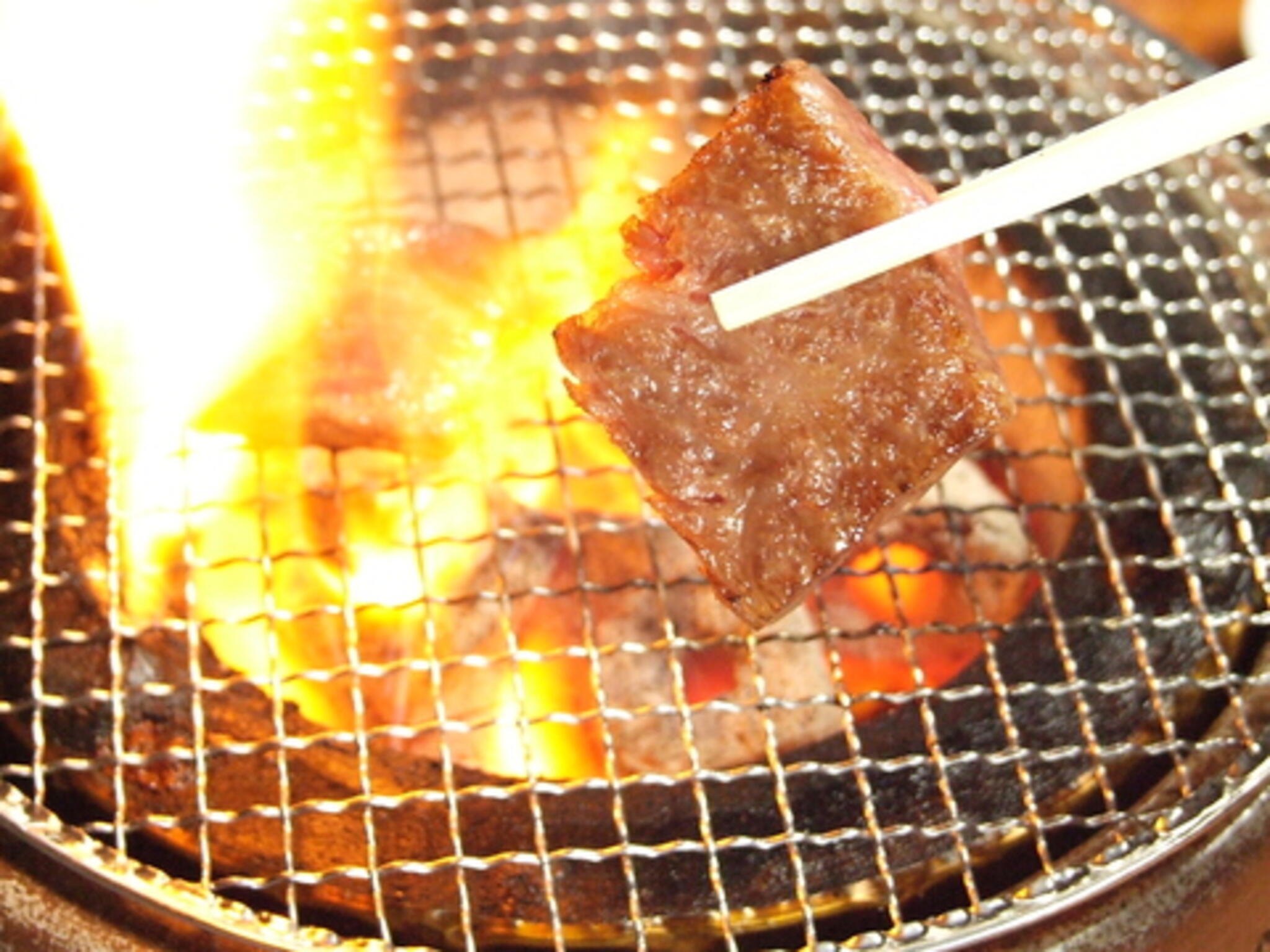 山星 (さんせい)四谷本店の代表写真6