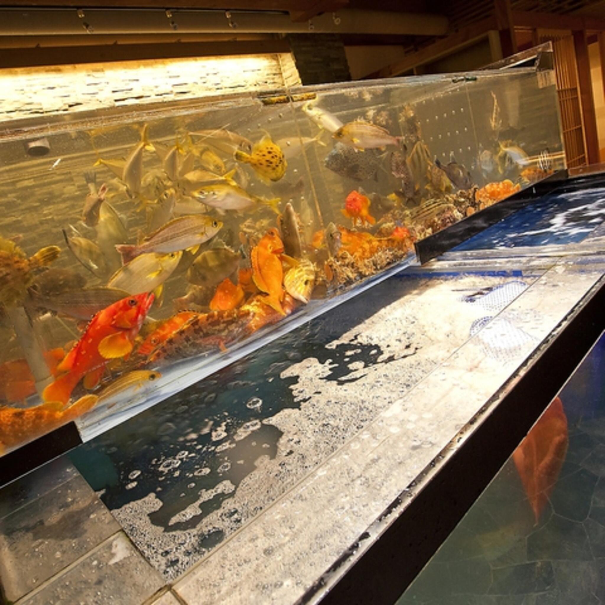博多魚がし海の路 天神店の代表写真8