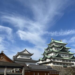 名古屋城の写真10
