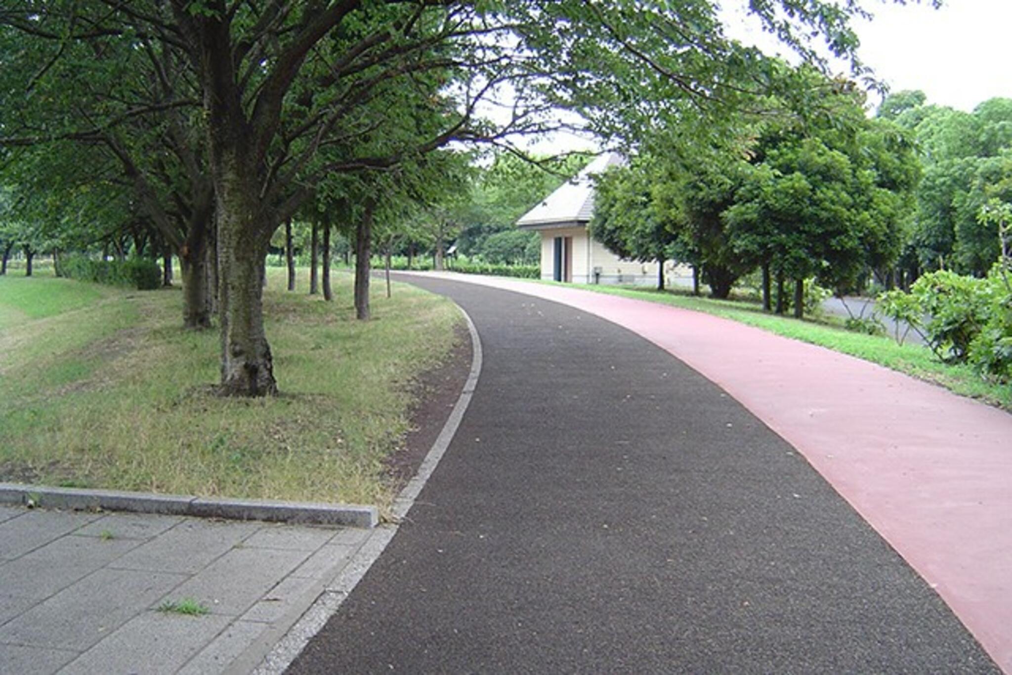 埼玉県民健康福祉村ジョギングコースの代表写真2