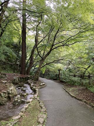 鼓ケ滝公園のクチコミ写真3