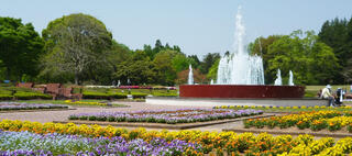 茨城県植物園のクチコミ写真1