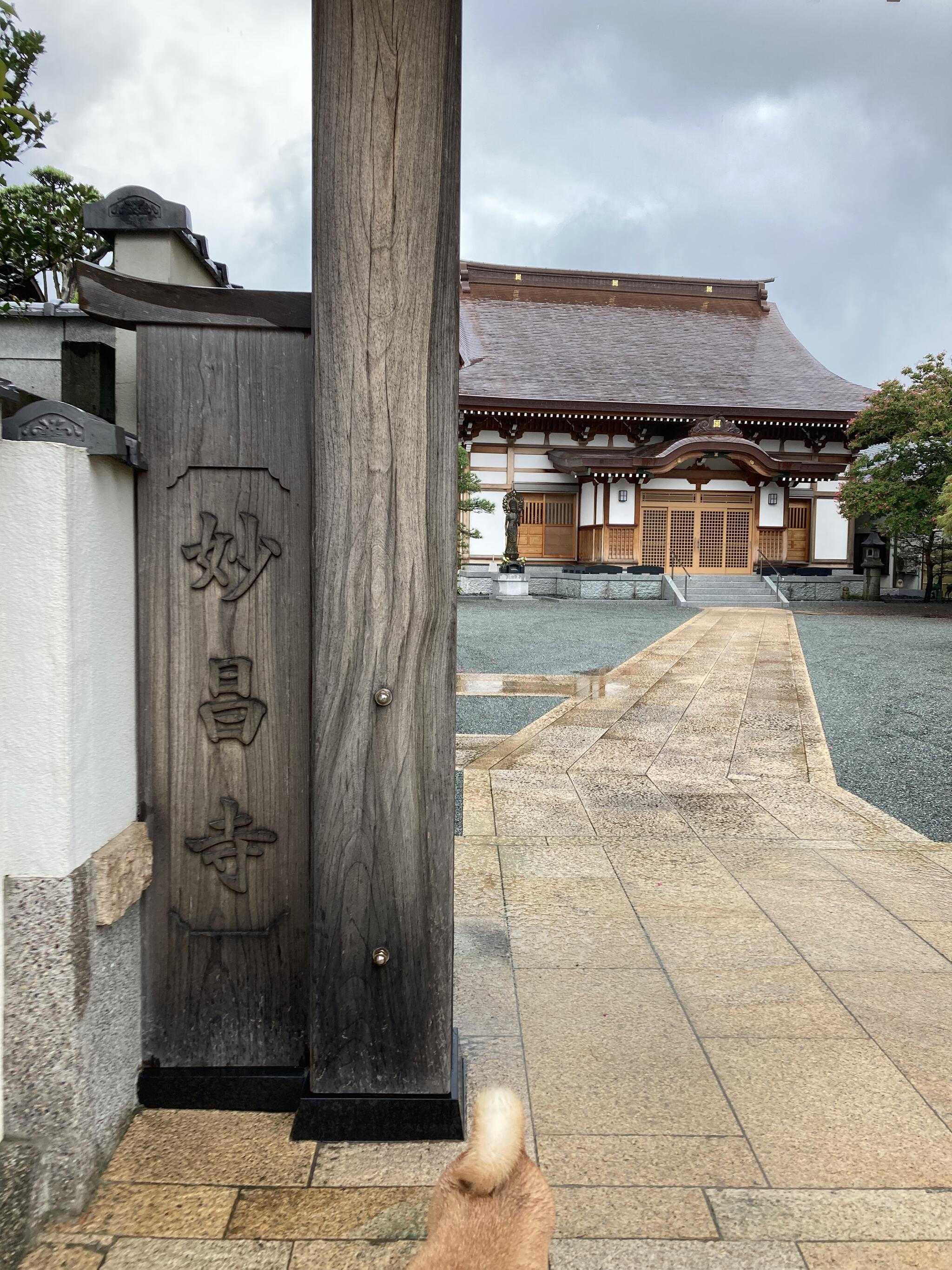 妙昌寺の代表写真1