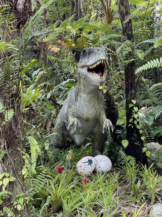 DINO恐竜PARK やんばる亜熱帯の森のクチコミ写真3