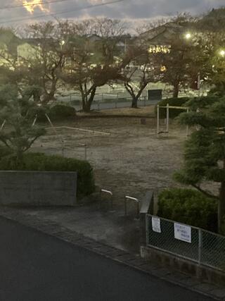 松江市宍道ふるさと森林公園のクチコミ写真1