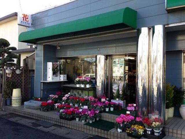 金子生花店 - 市川市大洲/花屋 | Yahoo!マップ