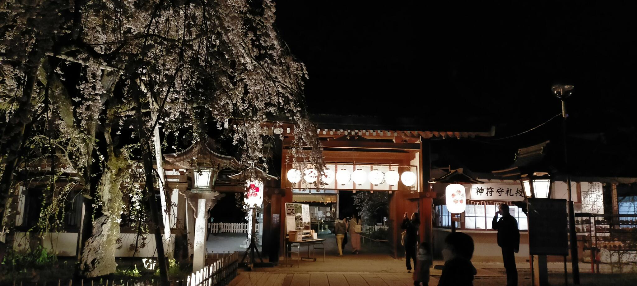 平野神社の代表写真10