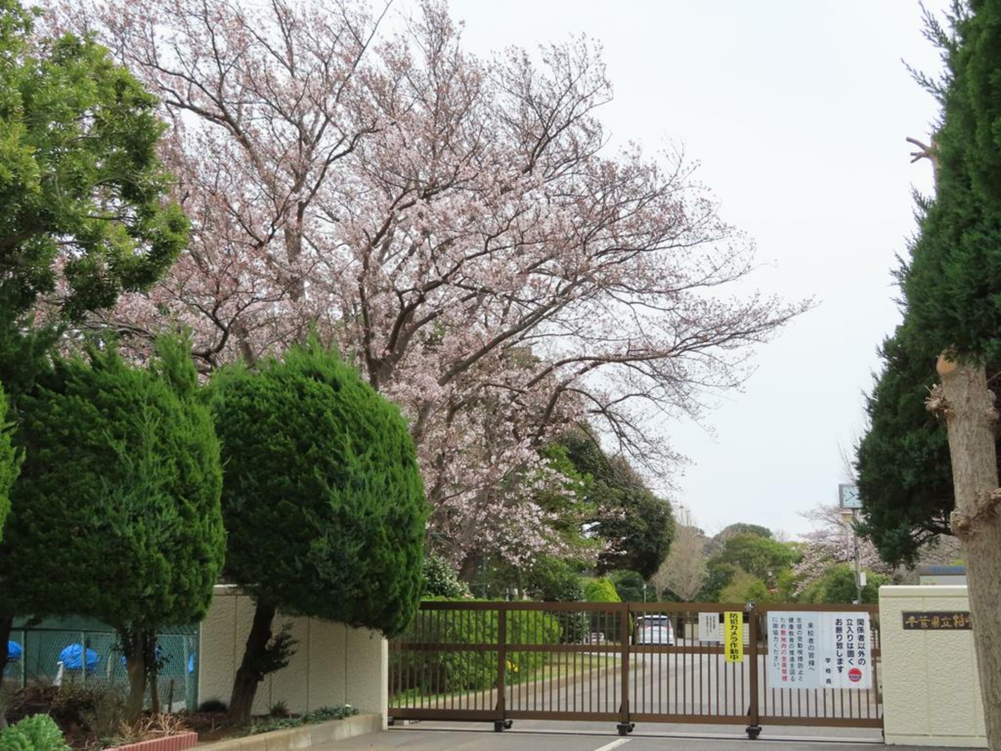 千葉県立柏中央高等学校の代表写真2