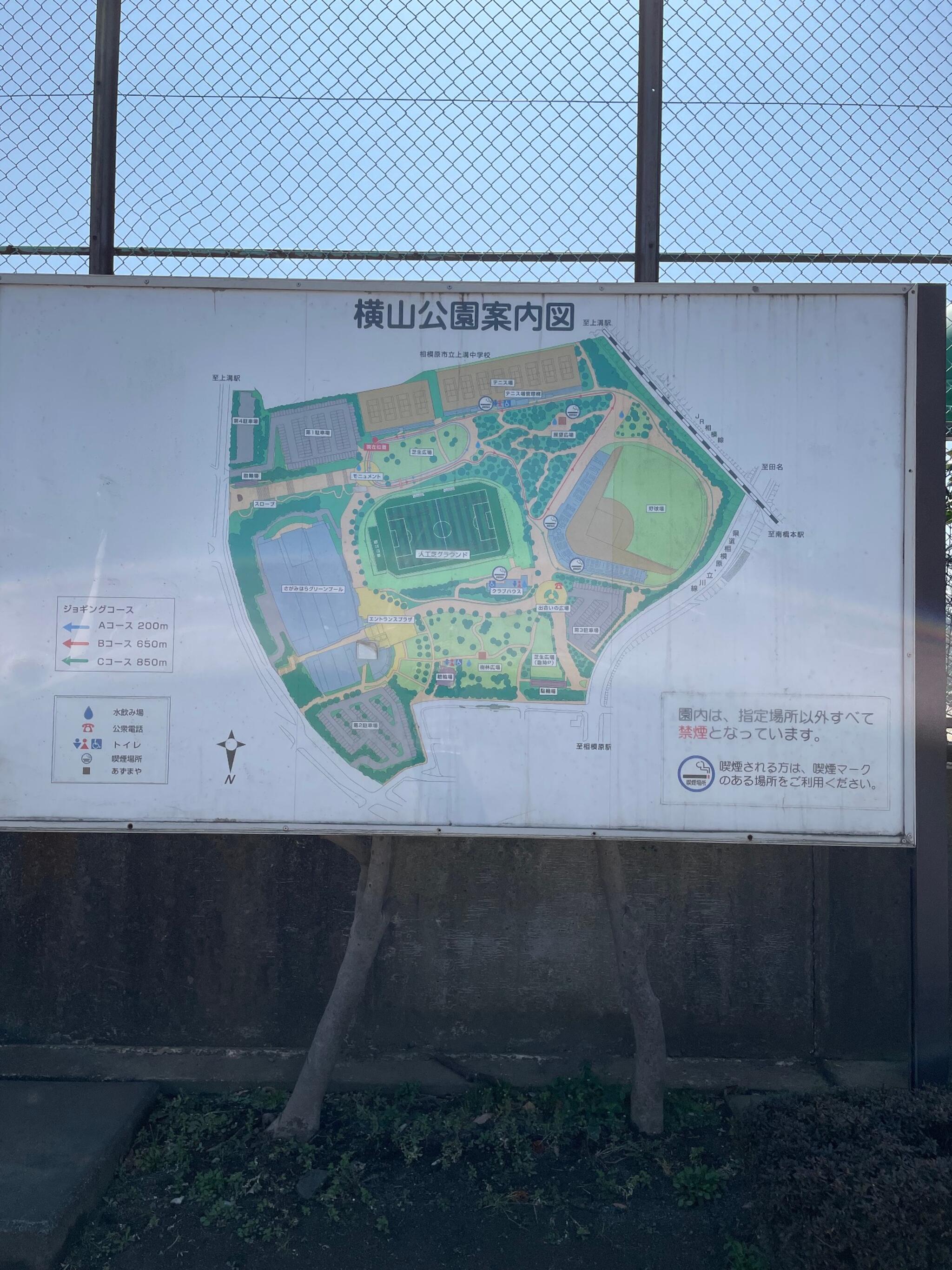 横山公園人工芝グラウンドの代表写真2