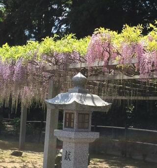 三大神社のクチコミ写真1