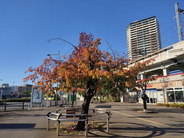 南 セール 千住 駅 東口 バス