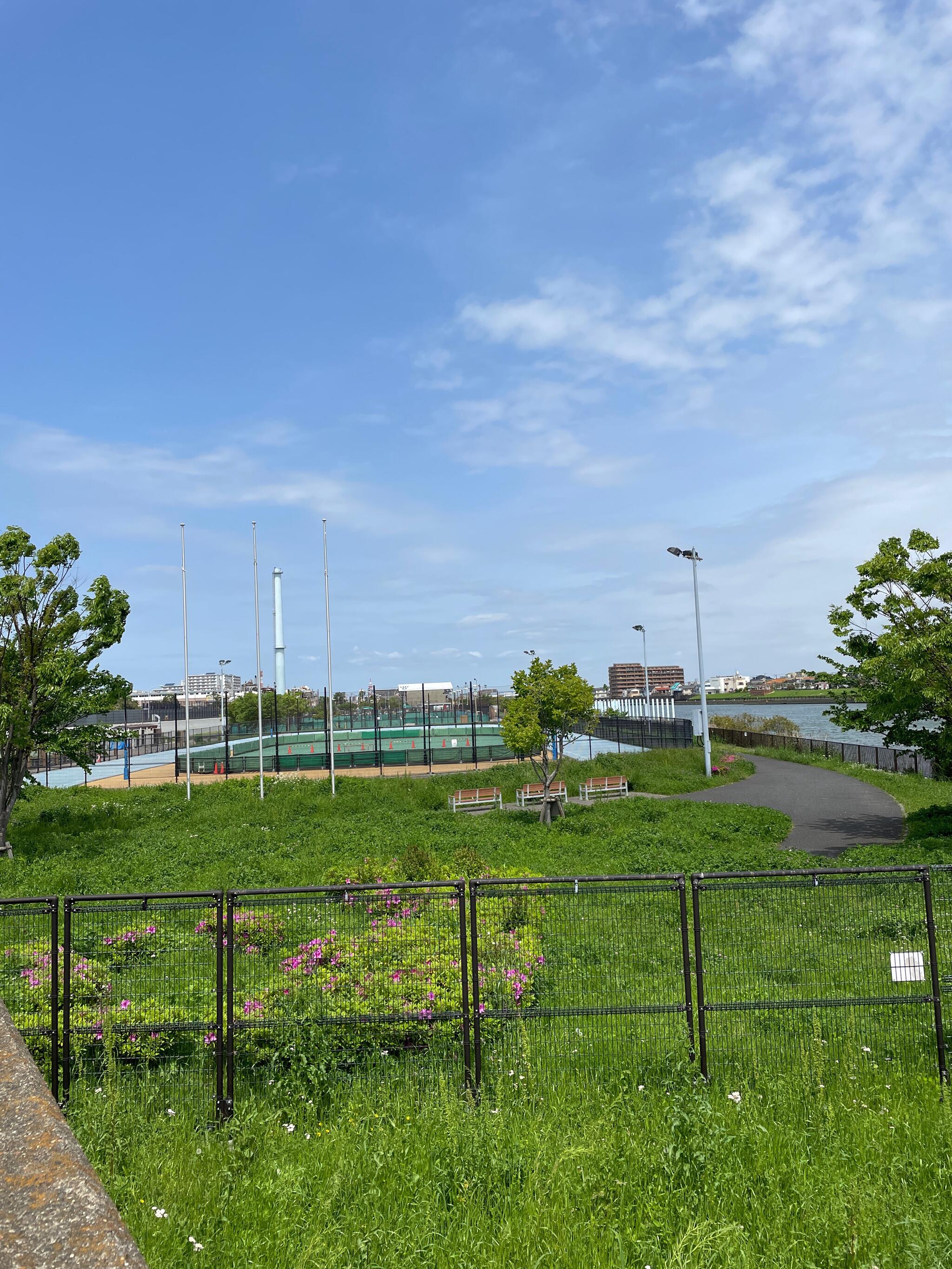 水辺のスポーツガーデン多目的広場の代表写真4