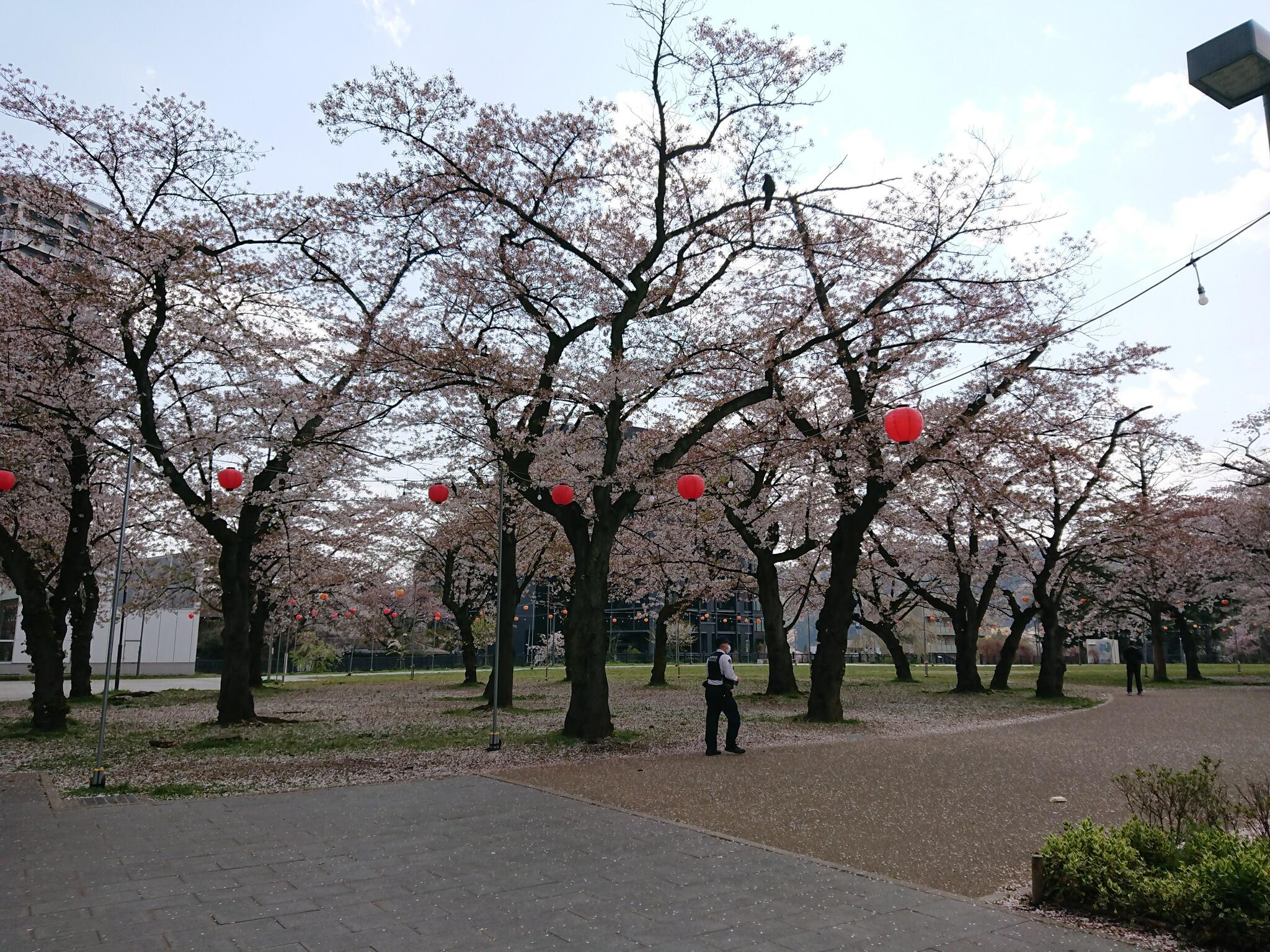 櫻岡大神宮の代表写真7