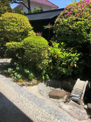 カフェ&ギャラリー 柿尾坂のクチコミ写真4
