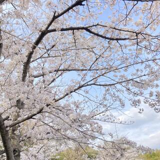 大阪府営 寝屋川公園の写真29