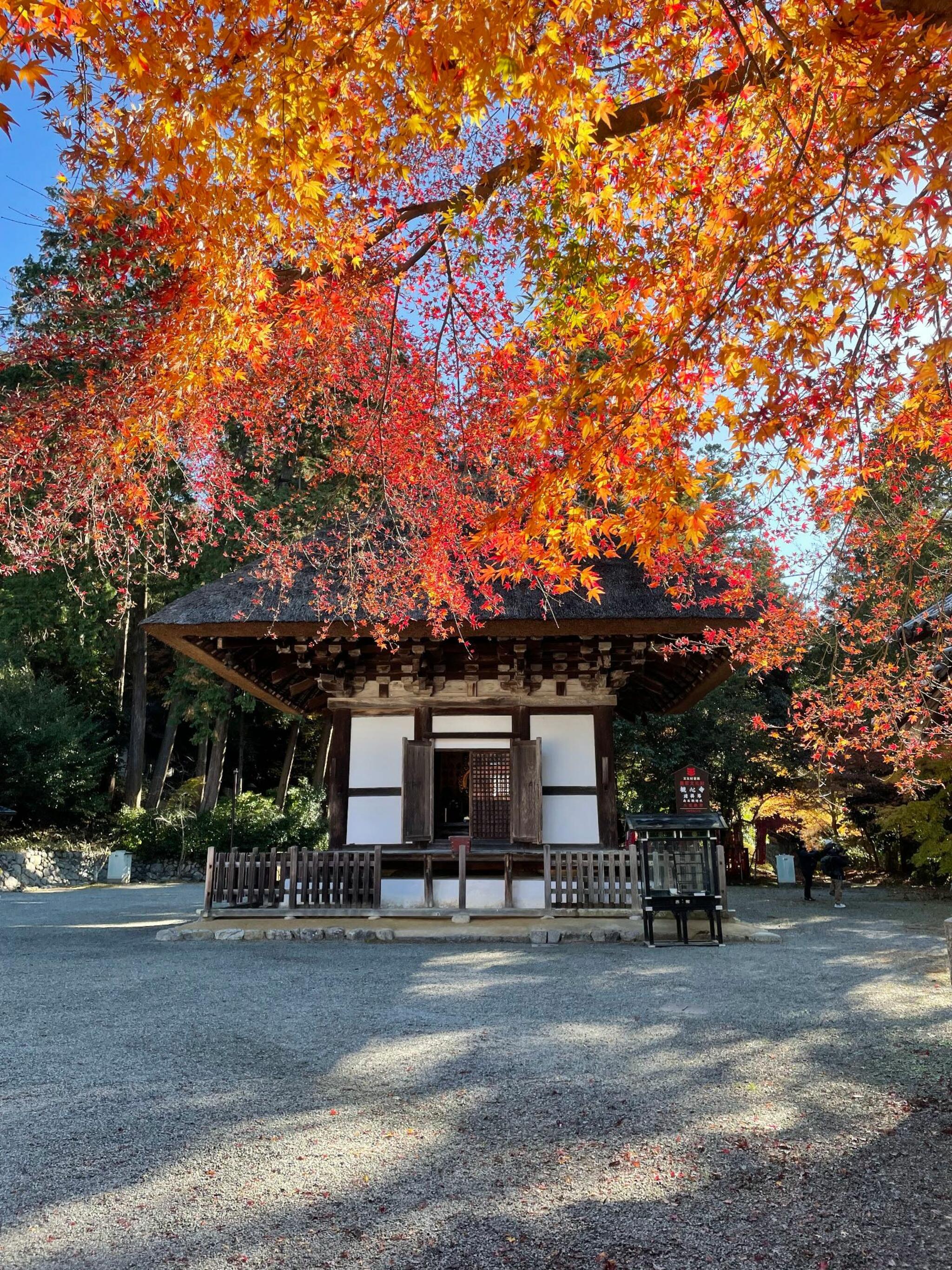 観心寺の代表写真9