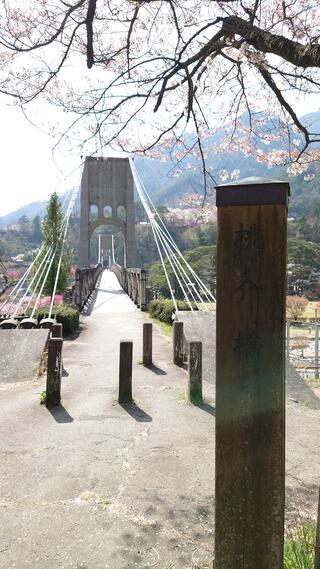 桃介橋のクチコミ写真4