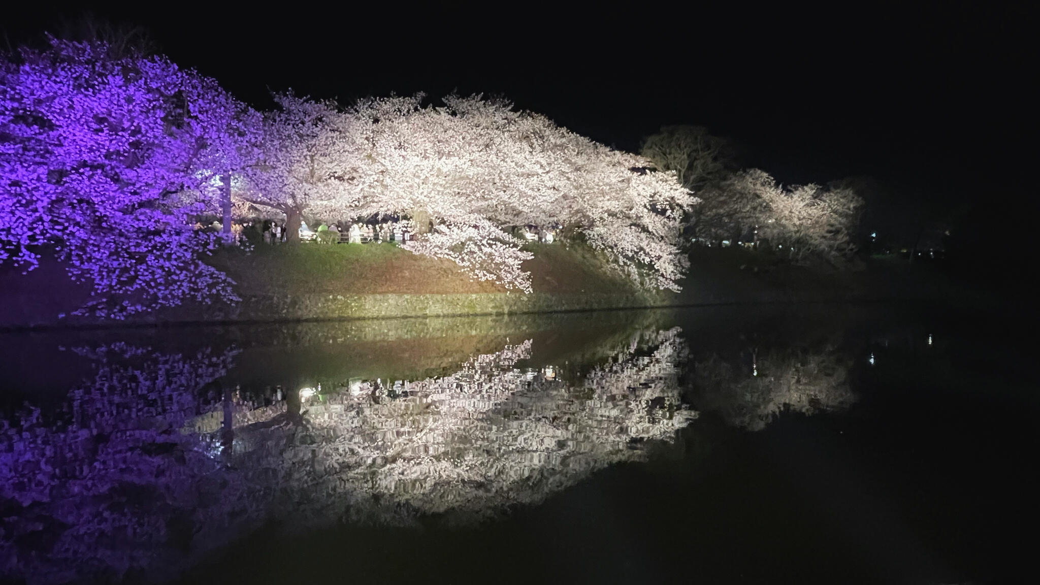 福岡城跡・舞鶴公園の代表写真5