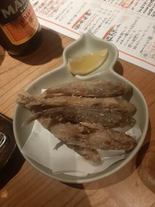 魚金 新橋魚金 歌舞伎町 壱のクチコミ写真4