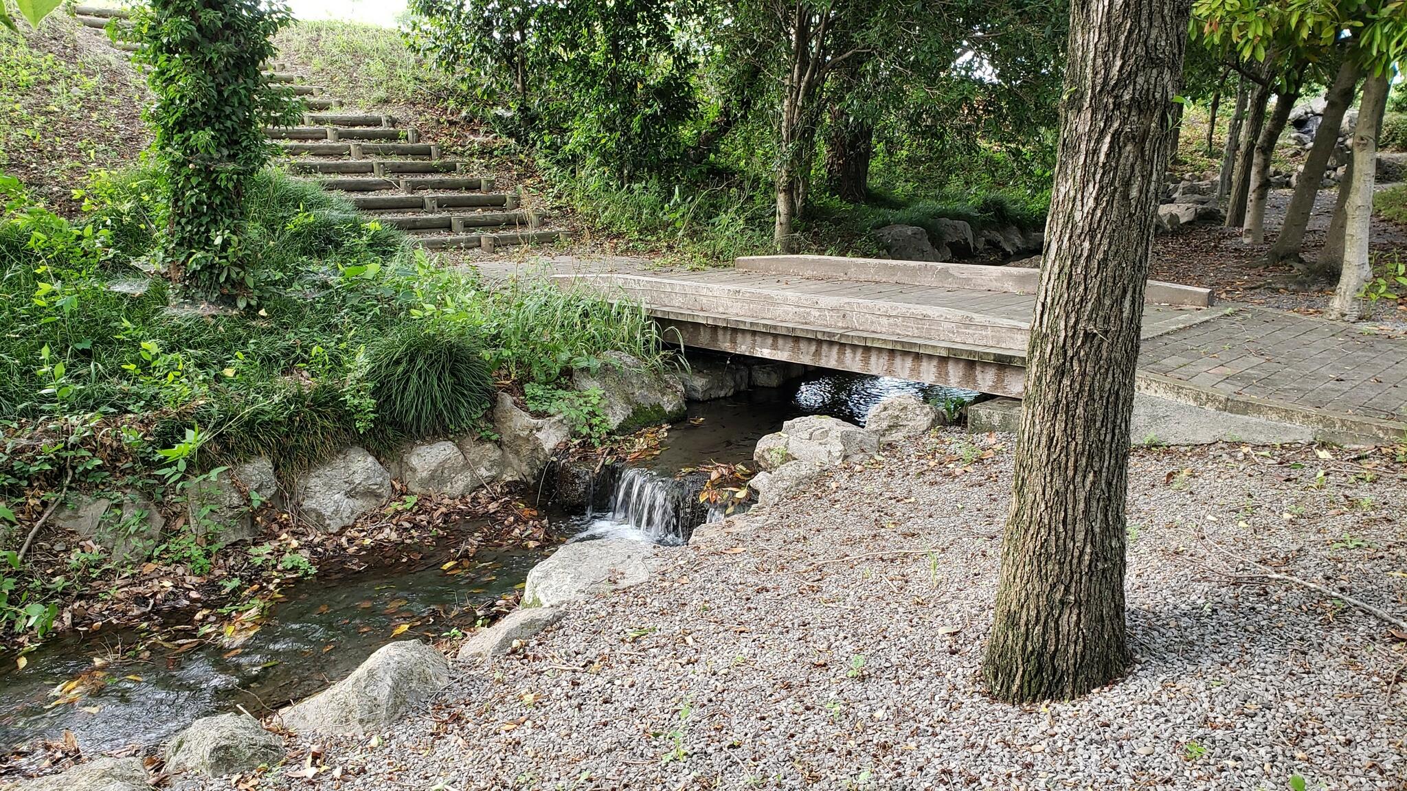 天神池公園の代表写真9