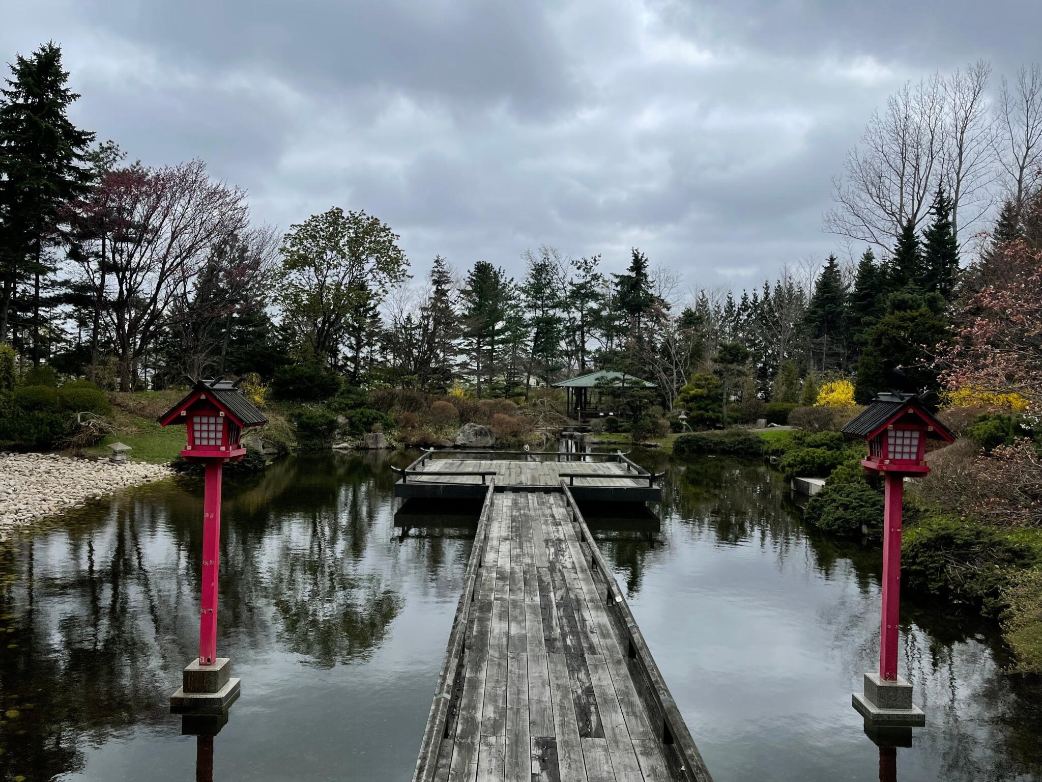 百合が原公園の代表写真2