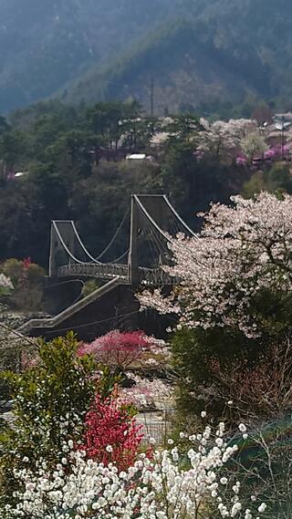 桃介橋のクチコミ写真2