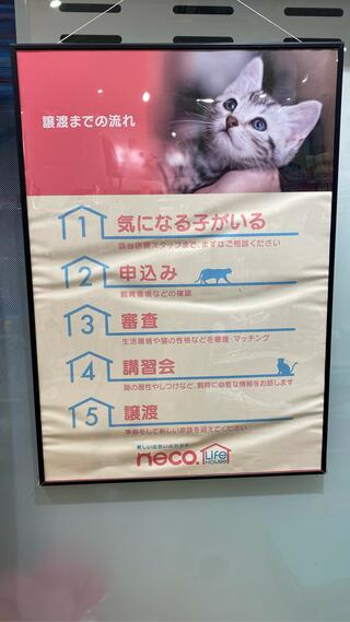 PETEMO 新茨木店のクチコミ写真3