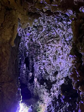 飛騨大鍾乳洞のクチコミ写真3