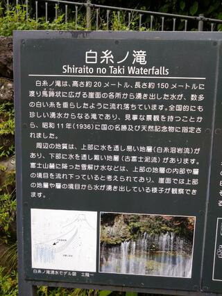 白糸の滝のクチコミ写真3