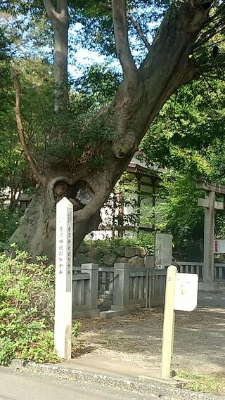 青渭神社のクチコミ写真1