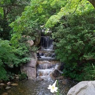 香川用水記念公園の写真19