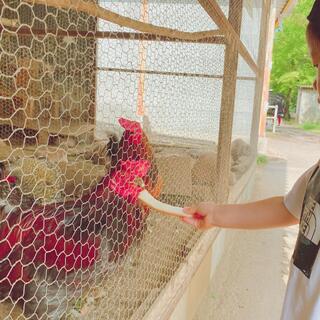 福知山市動物園のクチコミ写真3