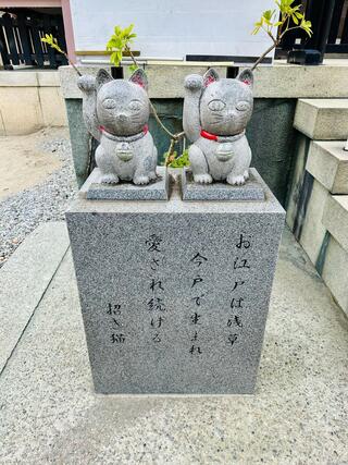 今戸神社のクチコミ写真4