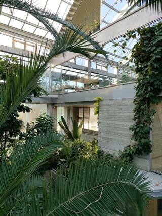 板橋区立熱帯環境植物館のクチコミ写真2