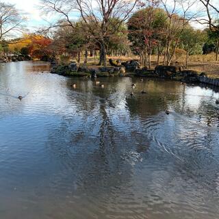 那珂川河畔公園の写真13