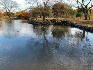 那珂川河畔公園のクチコミ写真4