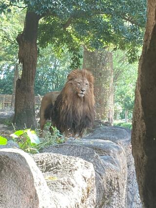 愛媛県立とべ動物園のクチコミ写真2