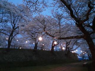 紫波城山公園のクチコミ写真10