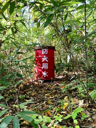 北海道立野幌森林公園自然ふれあい交流館のクチコミ写真10