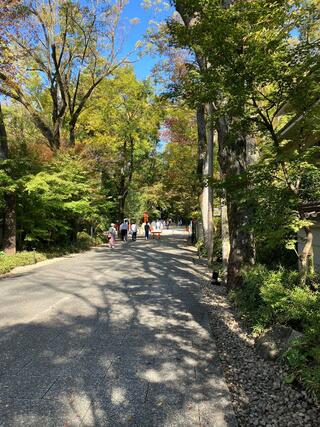 下鴨神社のクチコミ写真1