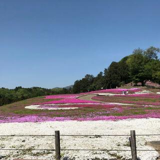みさと芝桜公園の写真28