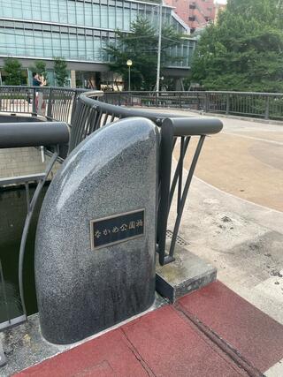 なかめ公園橋のクチコミ写真2