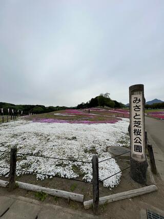 みさと芝桜公園のクチコミ写真3